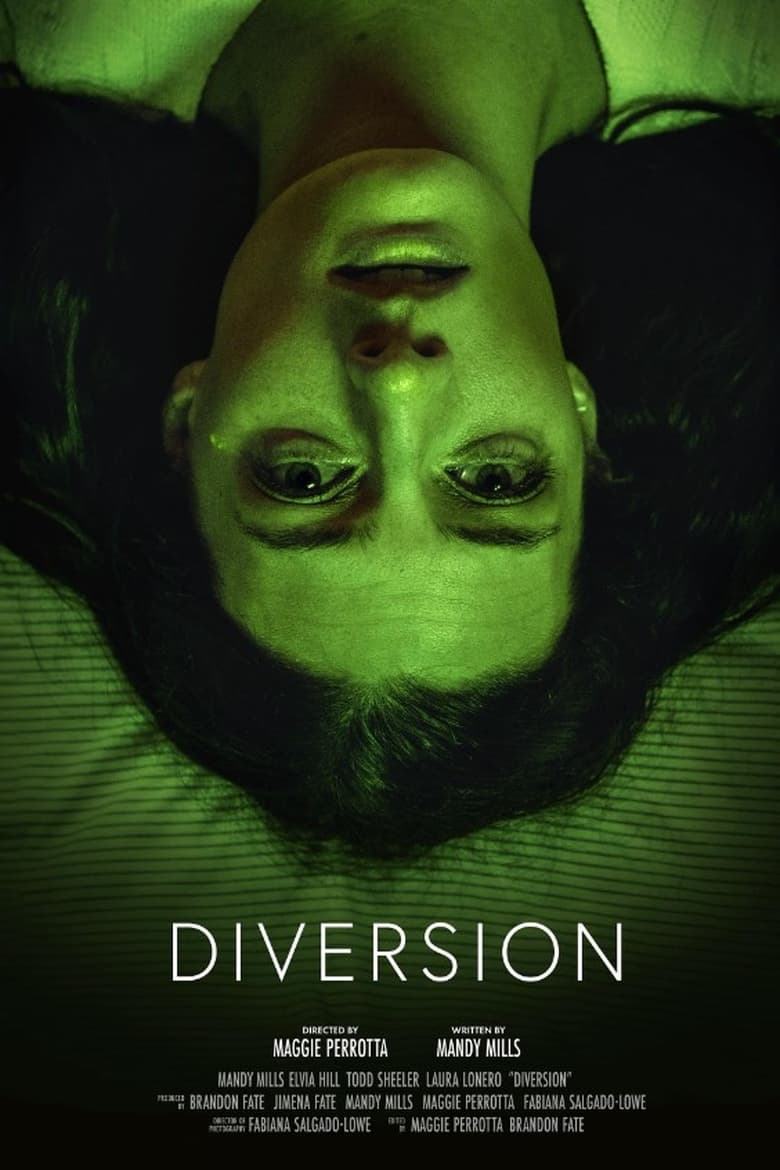 Poster of Diversion