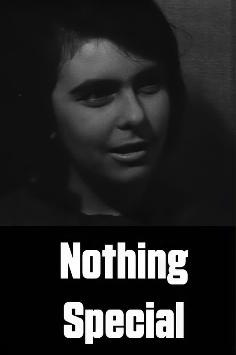 Poster of Nothing Special