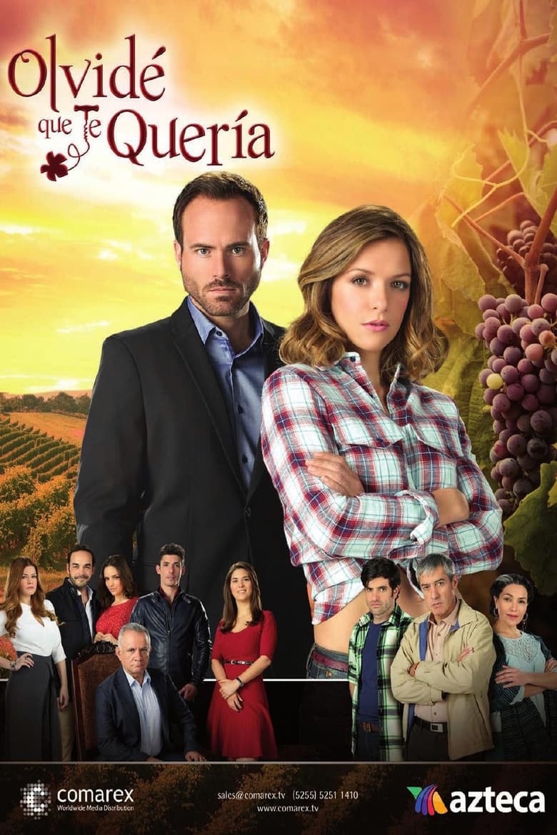 Poster of Episodes in Caminos De Guanajuato - Season 1 - Season 1