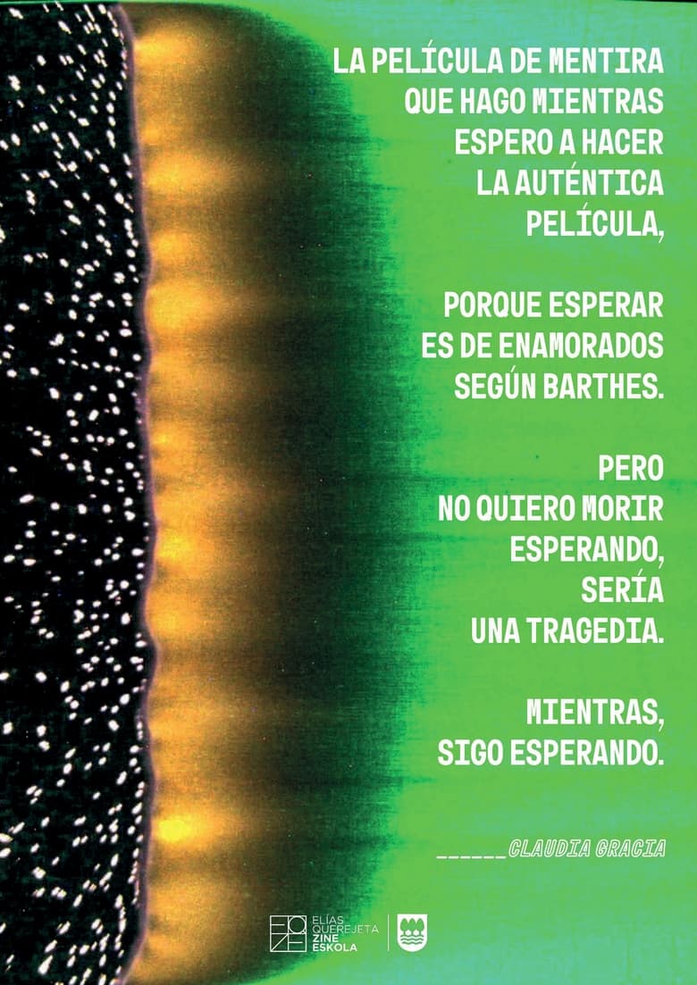 Poster of LA PELÍCULA DE MENTIRA