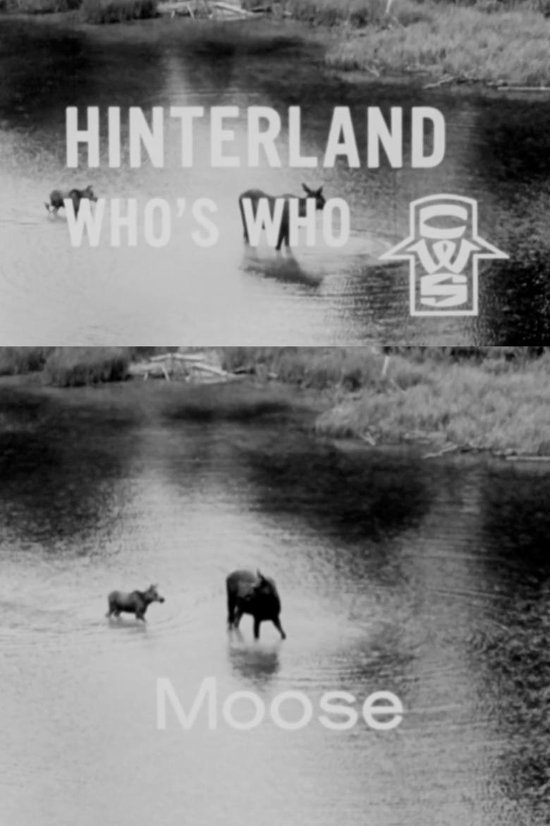 Poster of Hinterland Who's Who: Moose