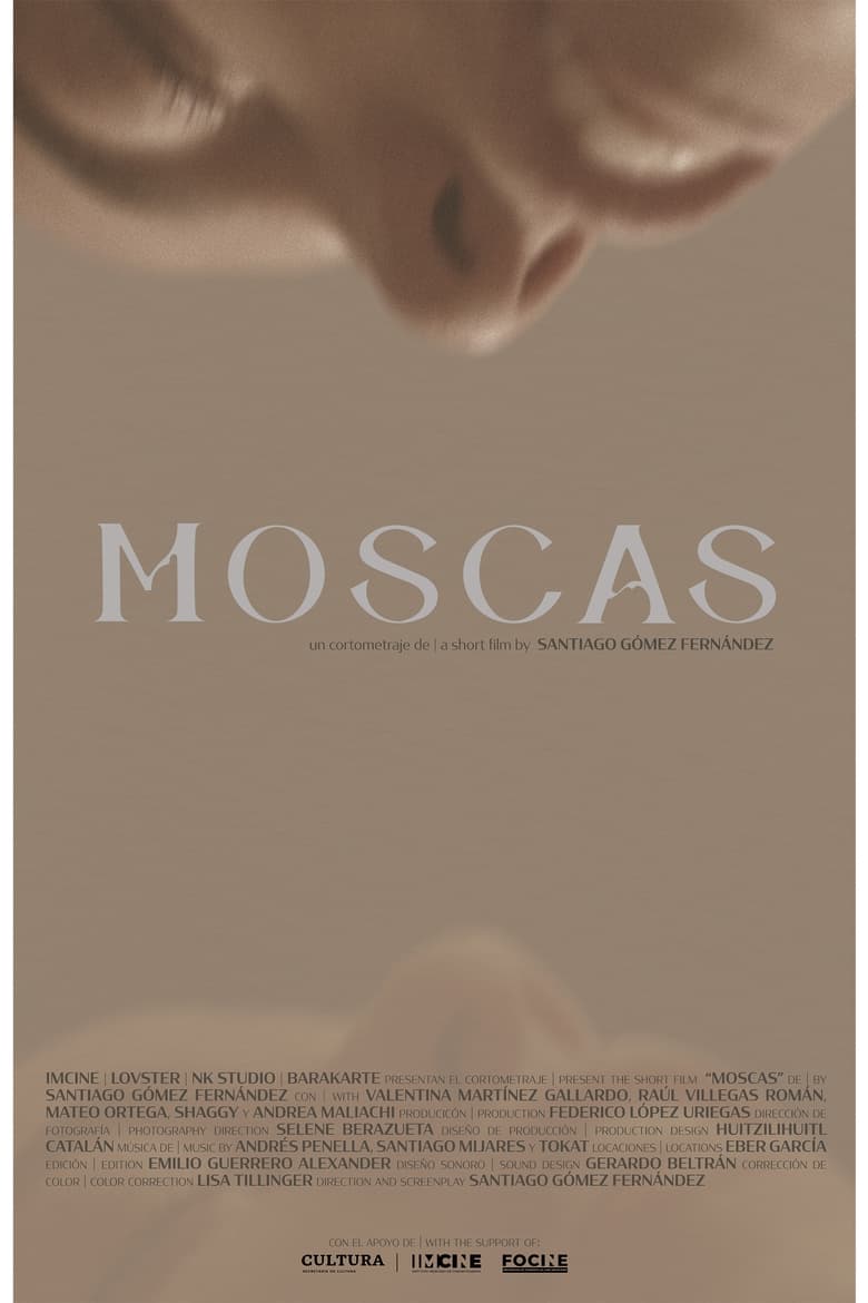 Poster of Moscas