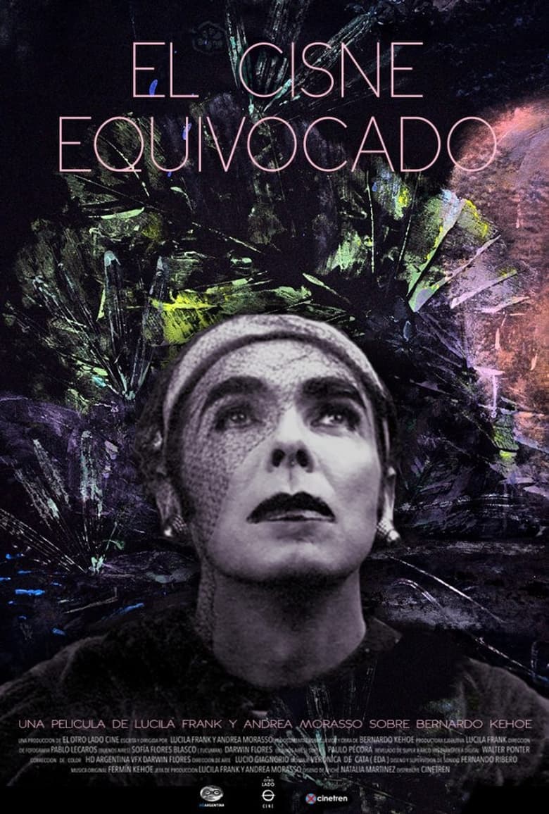 Poster of El cisne equivocado