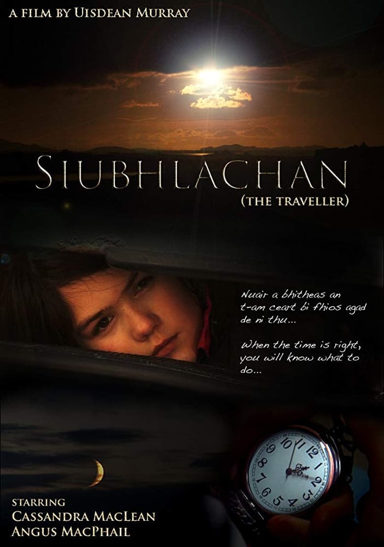 Poster of The Traveller