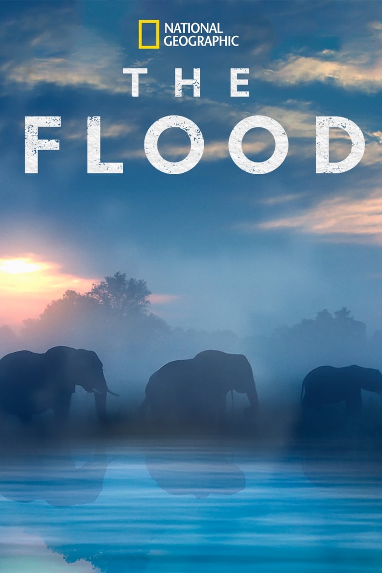 Poster of The Flood