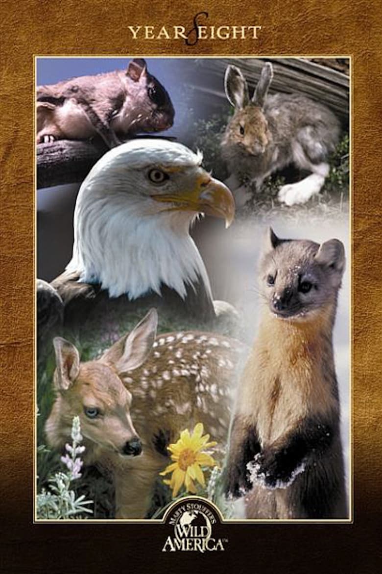 Poster of Marty Stouffer's Wild America - Season 8 - Episode 2 - Cottontails and Kin