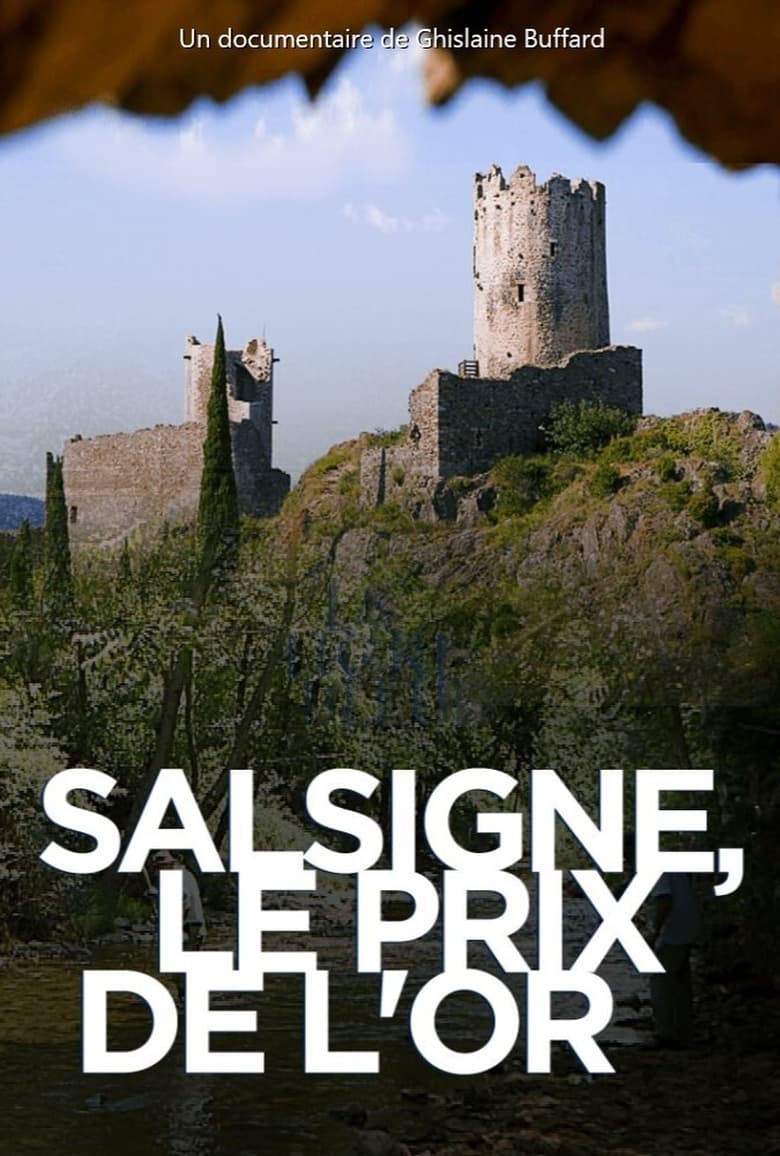 Poster of Salsigne : le prix de l'or