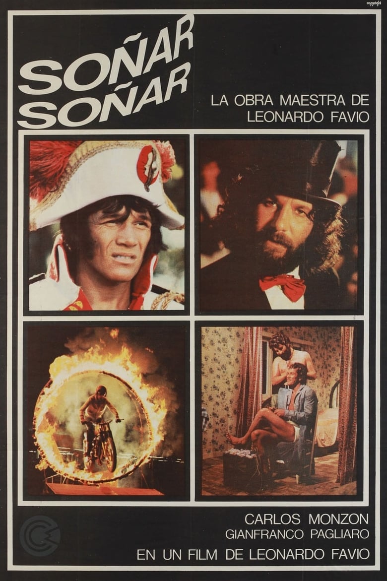 Poster of Soñar, soñar