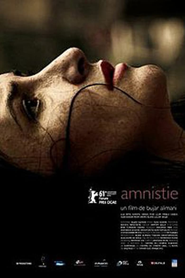 Poster of Amnesty