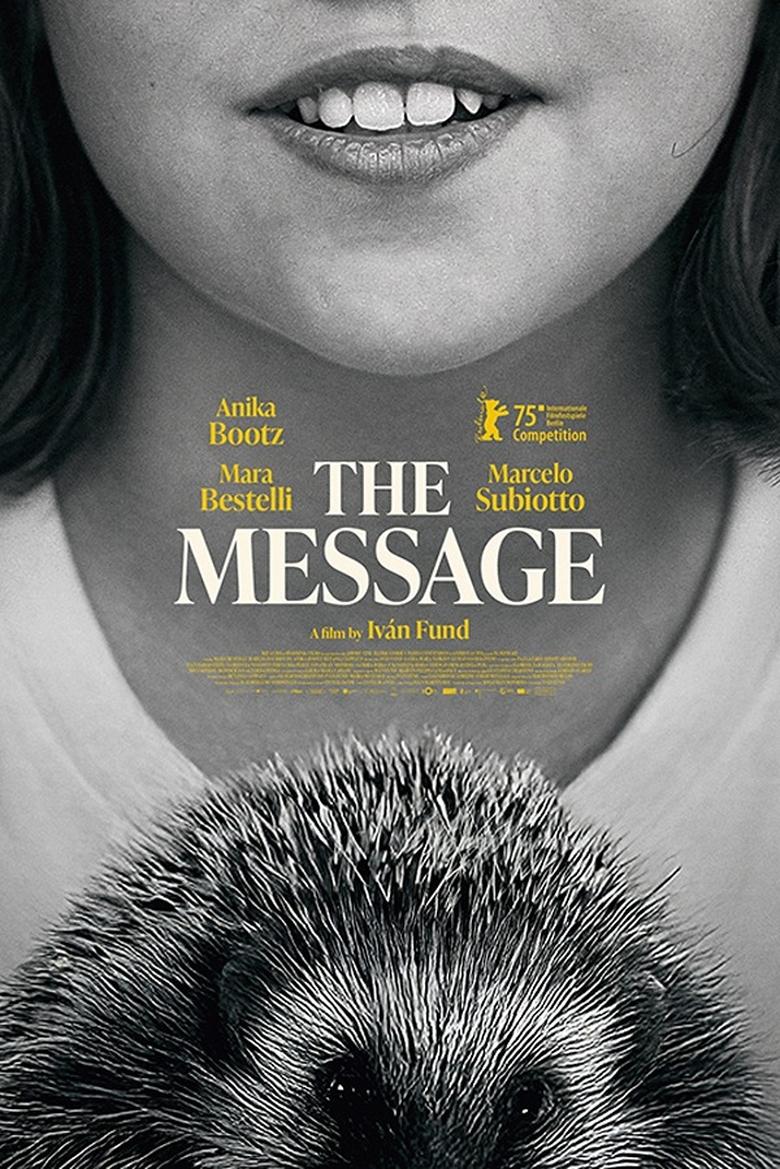 Poster of The Message