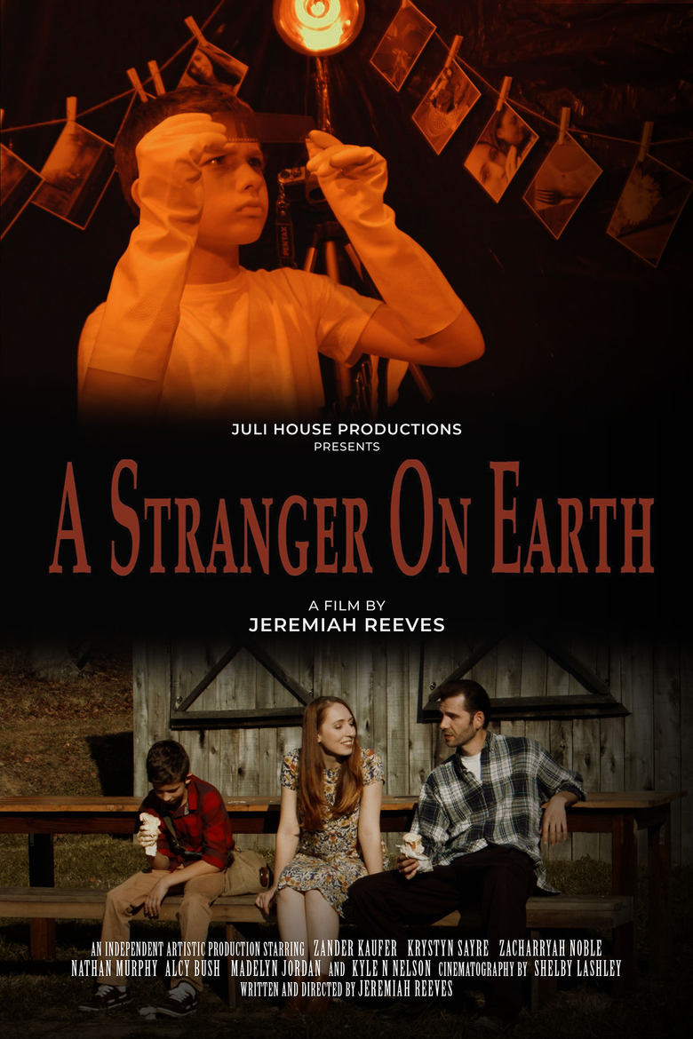 Poster of A Stranger On Earth