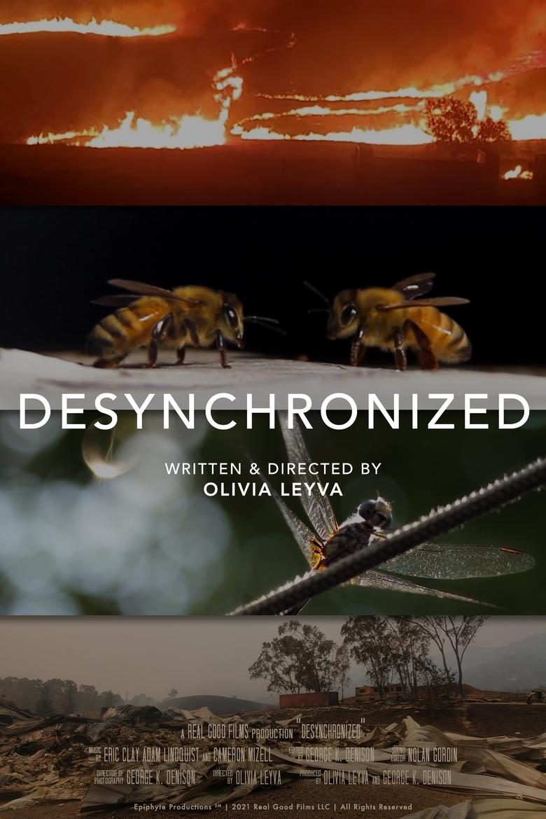 Poster of Desynchronized