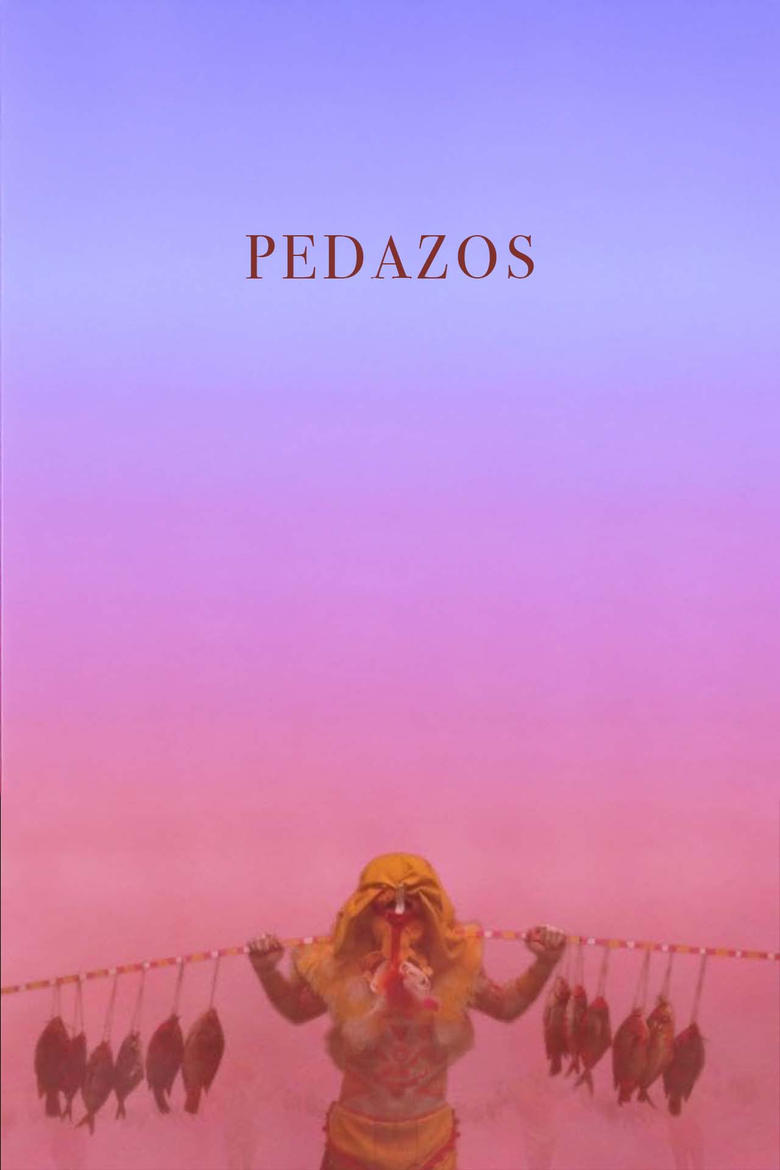 Poster of Pedazos