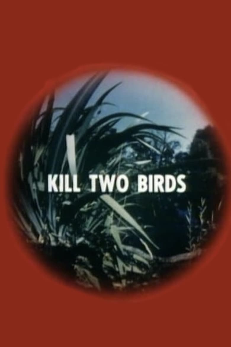 Poster of Kill Two Birds