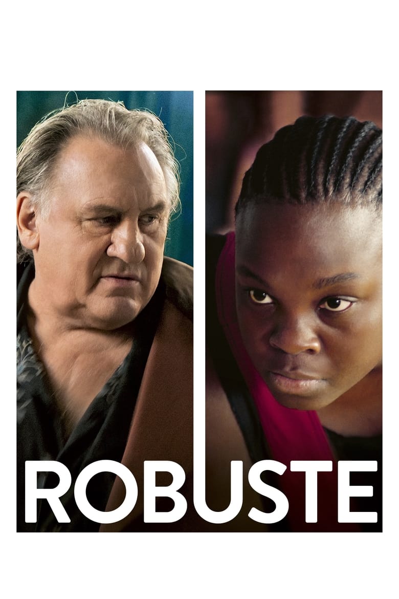 Poster of Robust