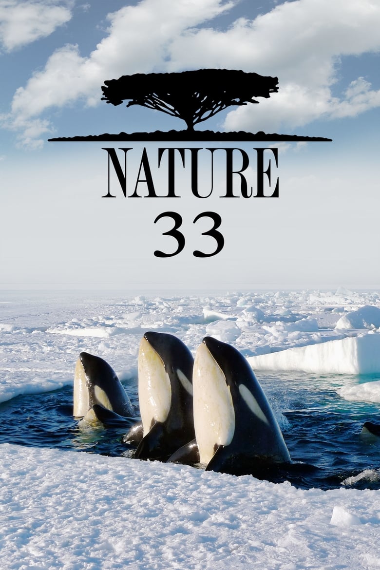 Poster of Cast and Crew in Nature - Season 33 - Episode 14 - Animal Homes: Animal Cities