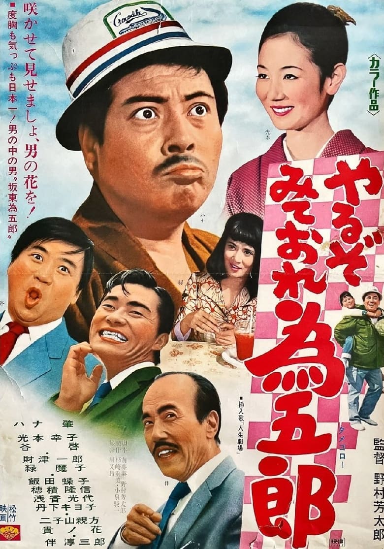 Poster of やるぞみておれ為五郎