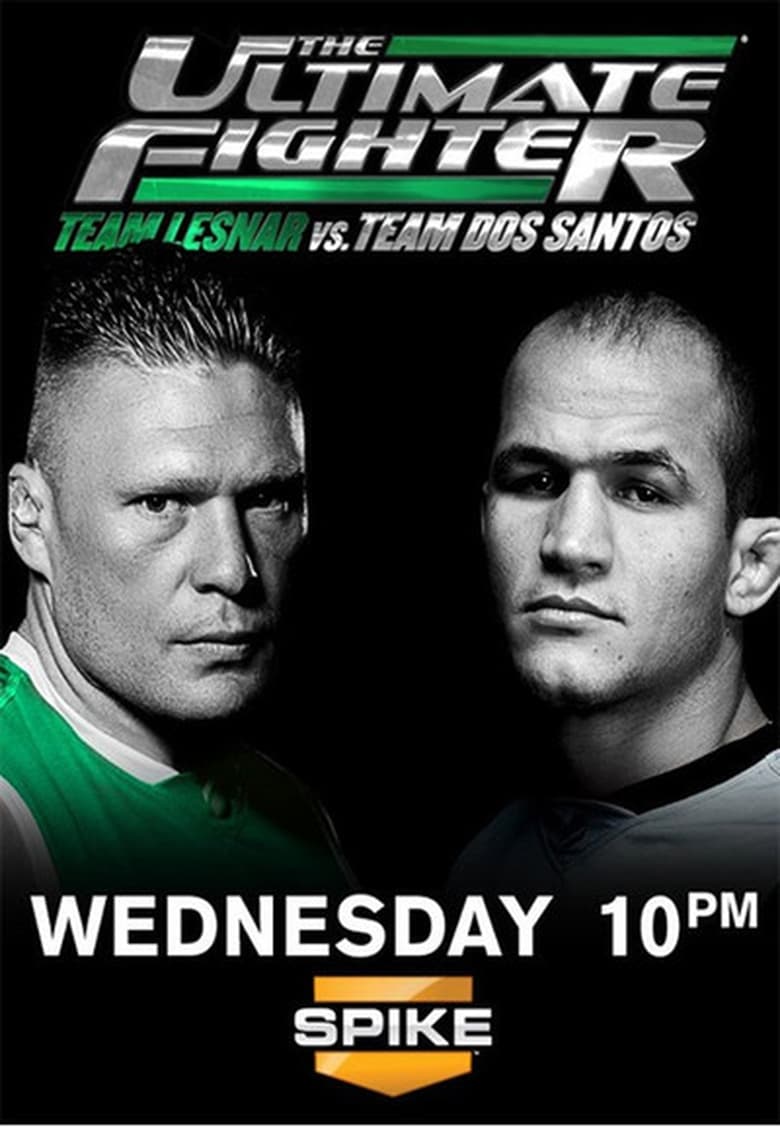 Poster of Episodes in The Ultimate Fighter - Season 13 - Season 13