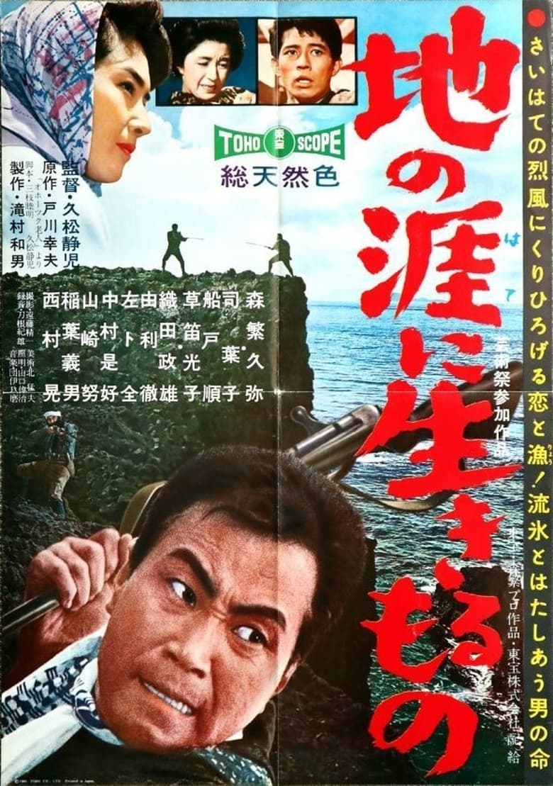 Poster of The Angry Sea