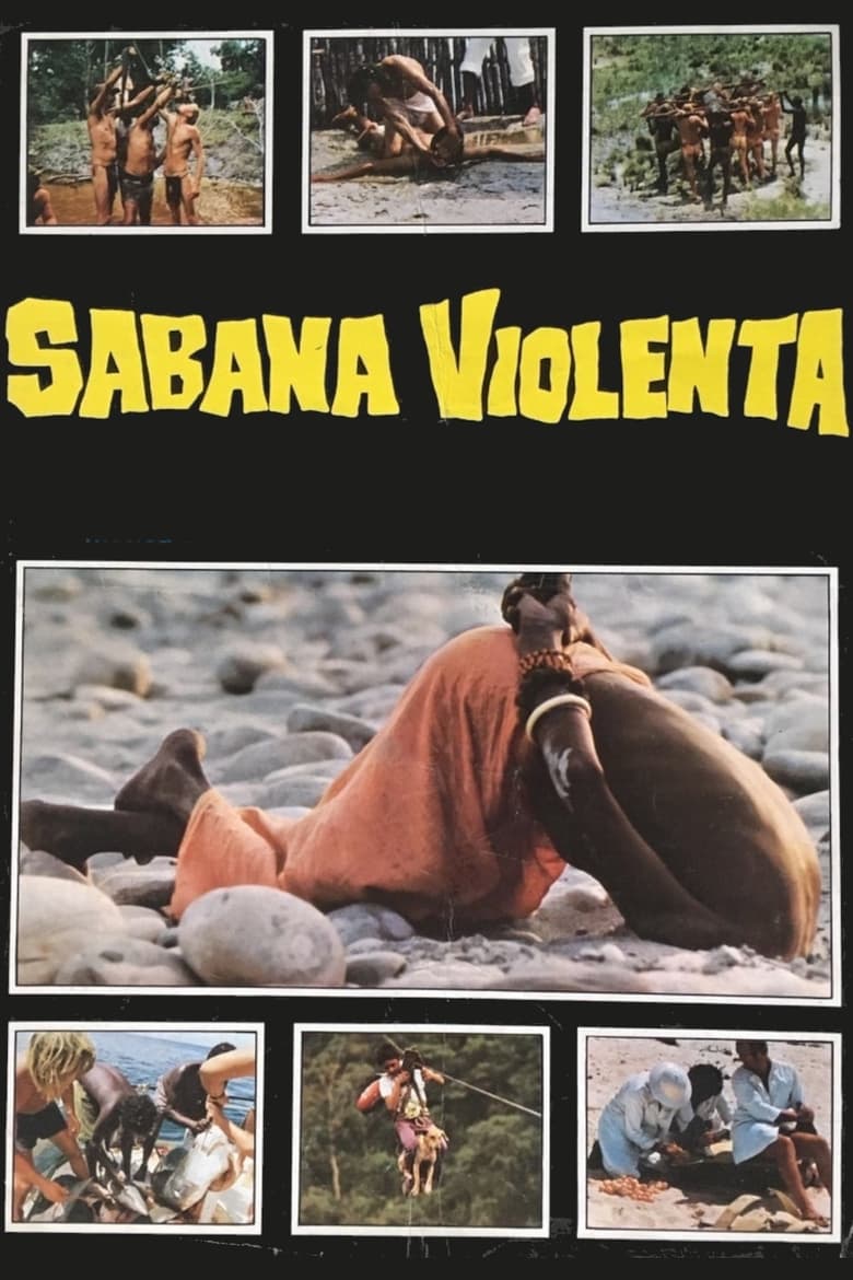 Poster of This Violent World