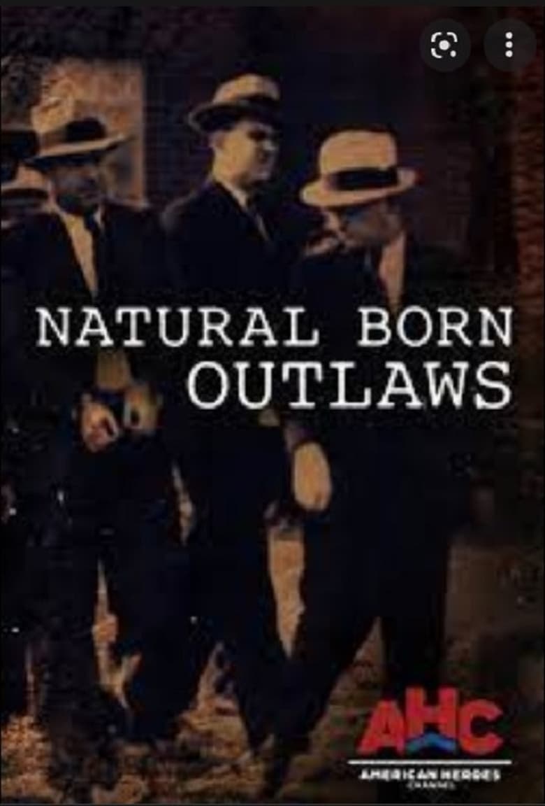 Poster of Natural Born Outlaws