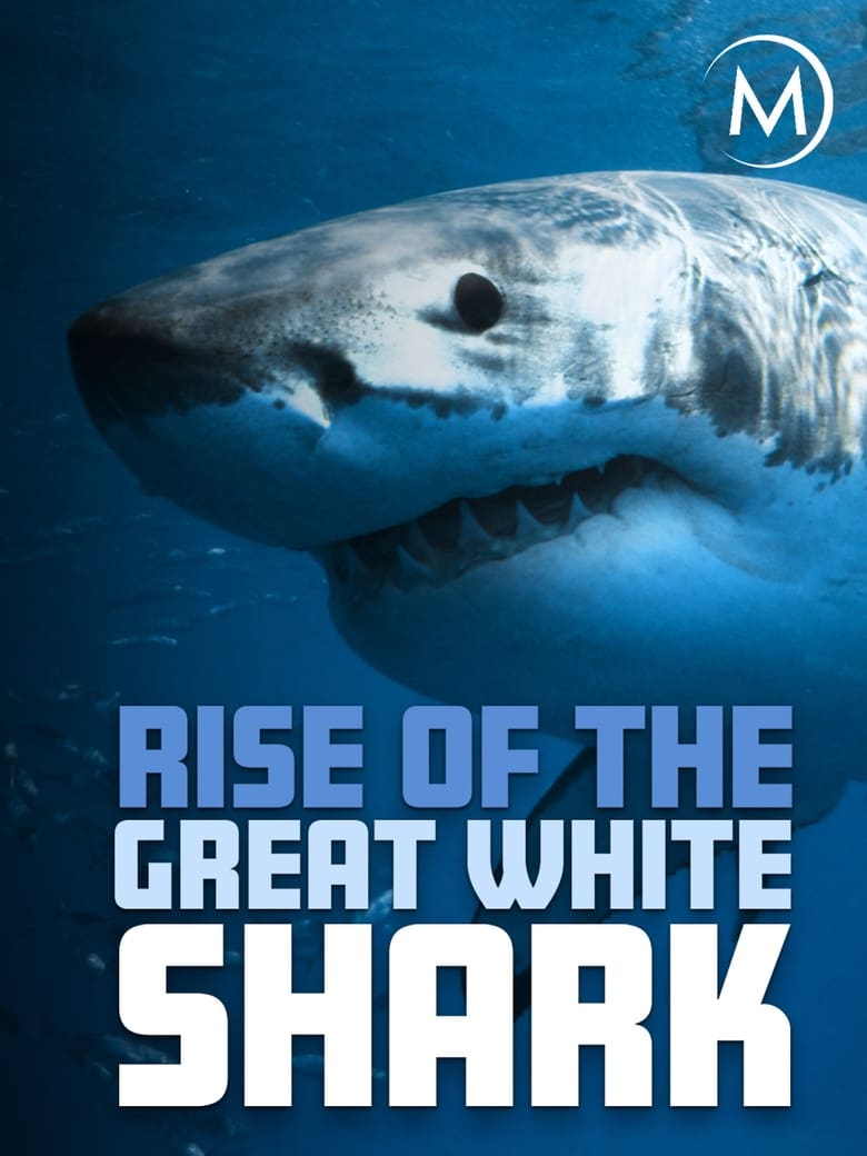 Poster of Rise Of The Great White Shark