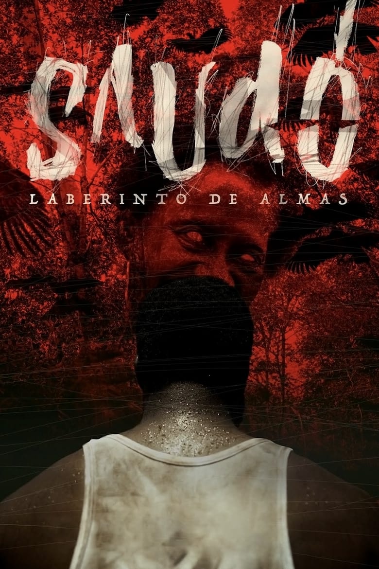 Poster of Saudo, Labyrinth of Souls