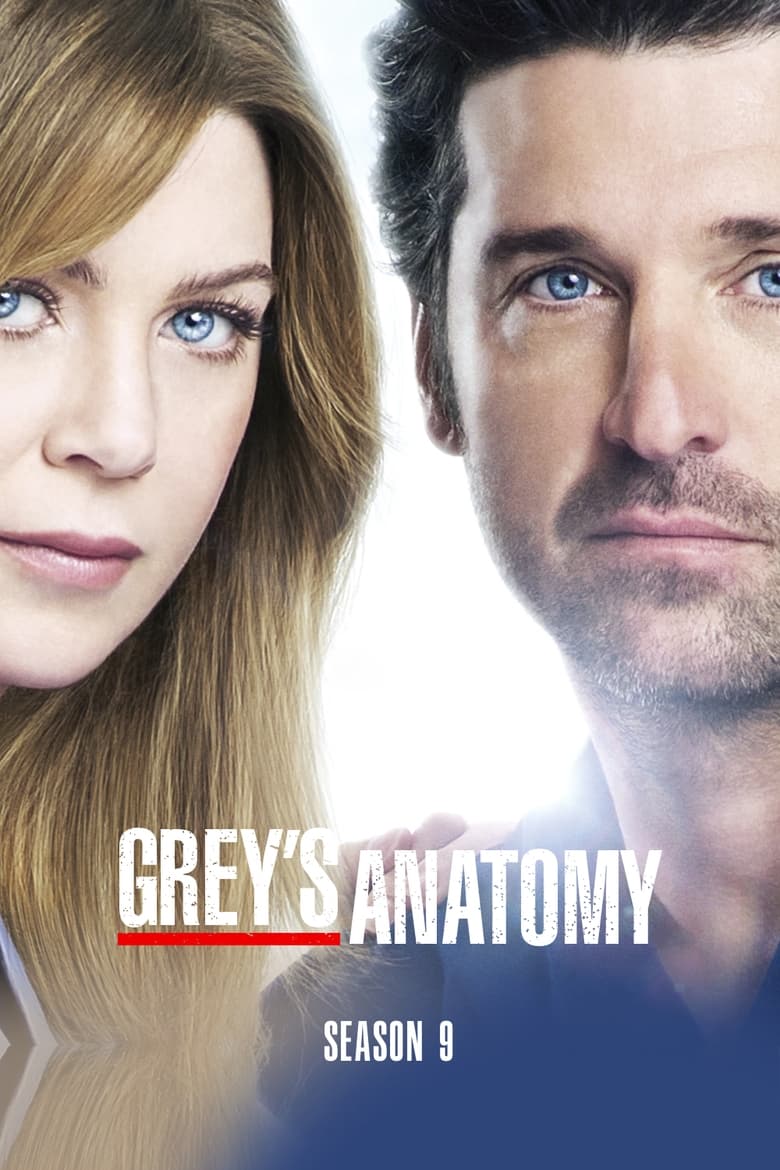 Poster of Episodes in Grey's Anatomy - Season 9 - Season 9