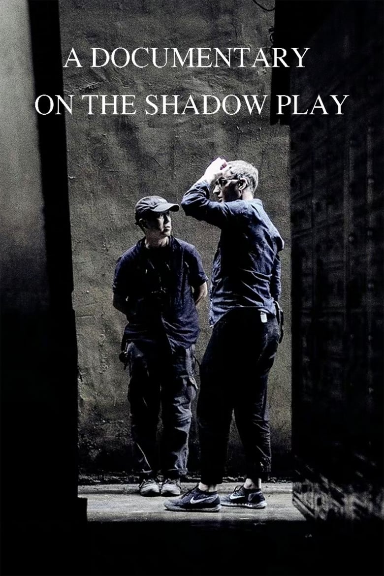 Poster of A Documentary on The Shadow Play