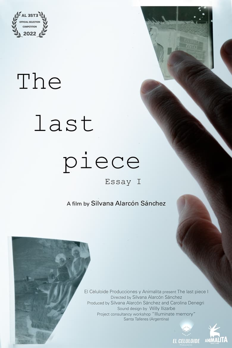 Poster of The Last Piece: Essay I