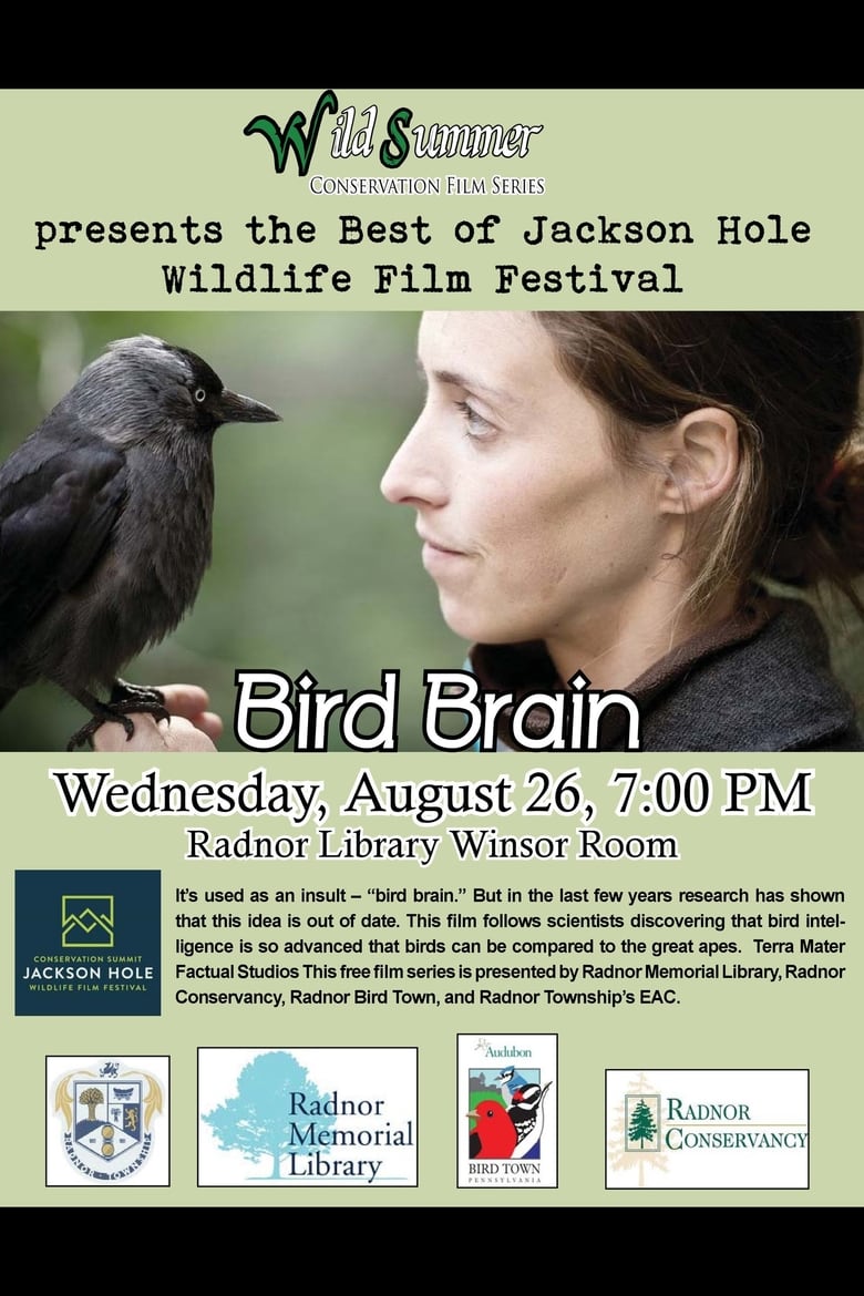 Poster of Bird Brain