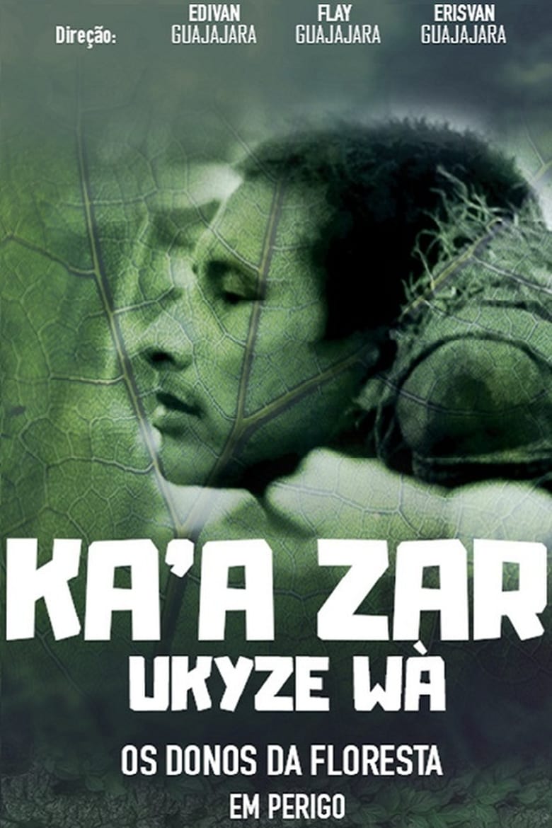 Poster of Ka’a zar ukyze wà – Os Donos da Floresta em Perigo