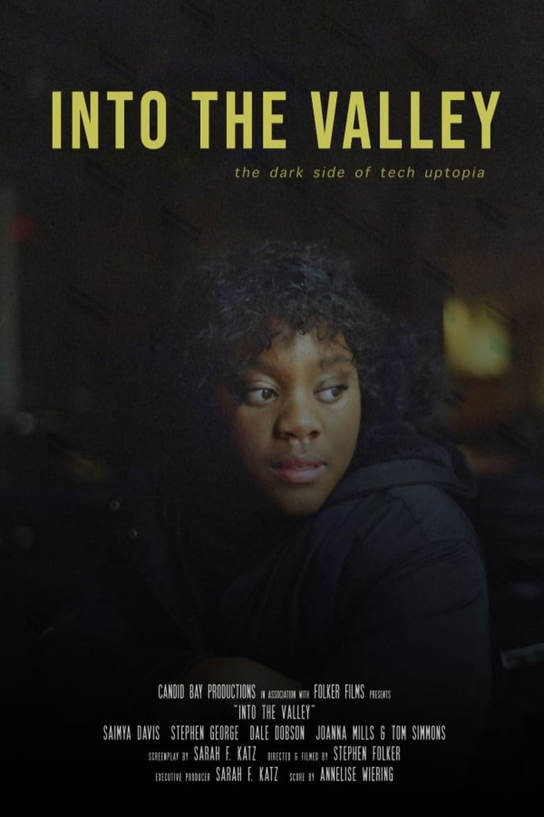 Poster of Into the Valley