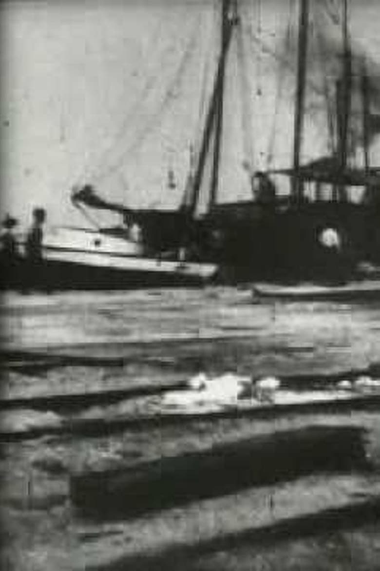 Poster of Bird's-Eye View of Dock Front, Galveston