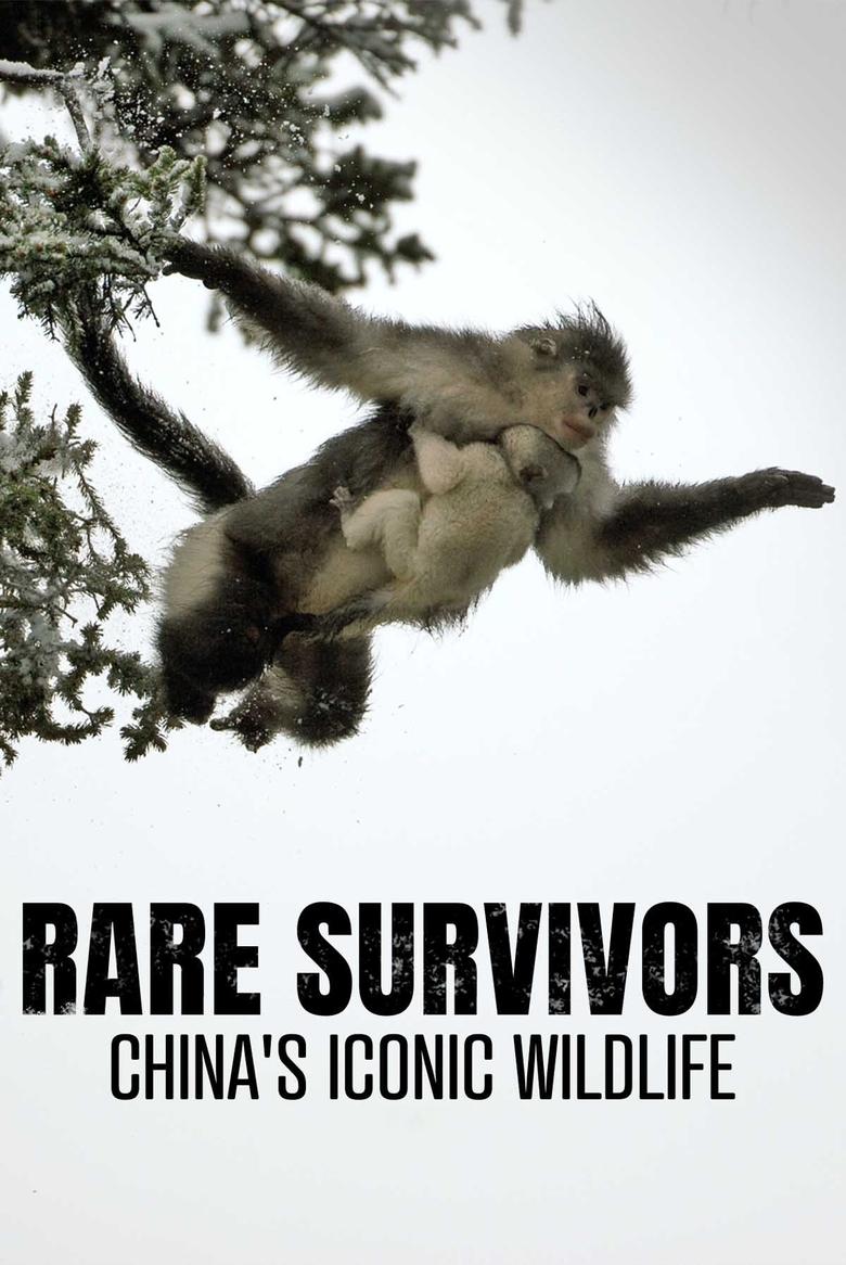 Poster of Rare Survivors: China's Iconic Wildlife