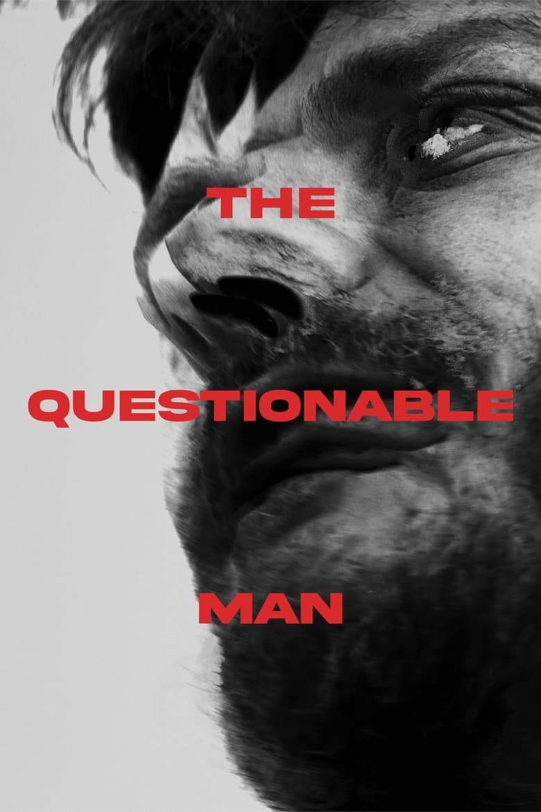 Poster of The Questionable Man