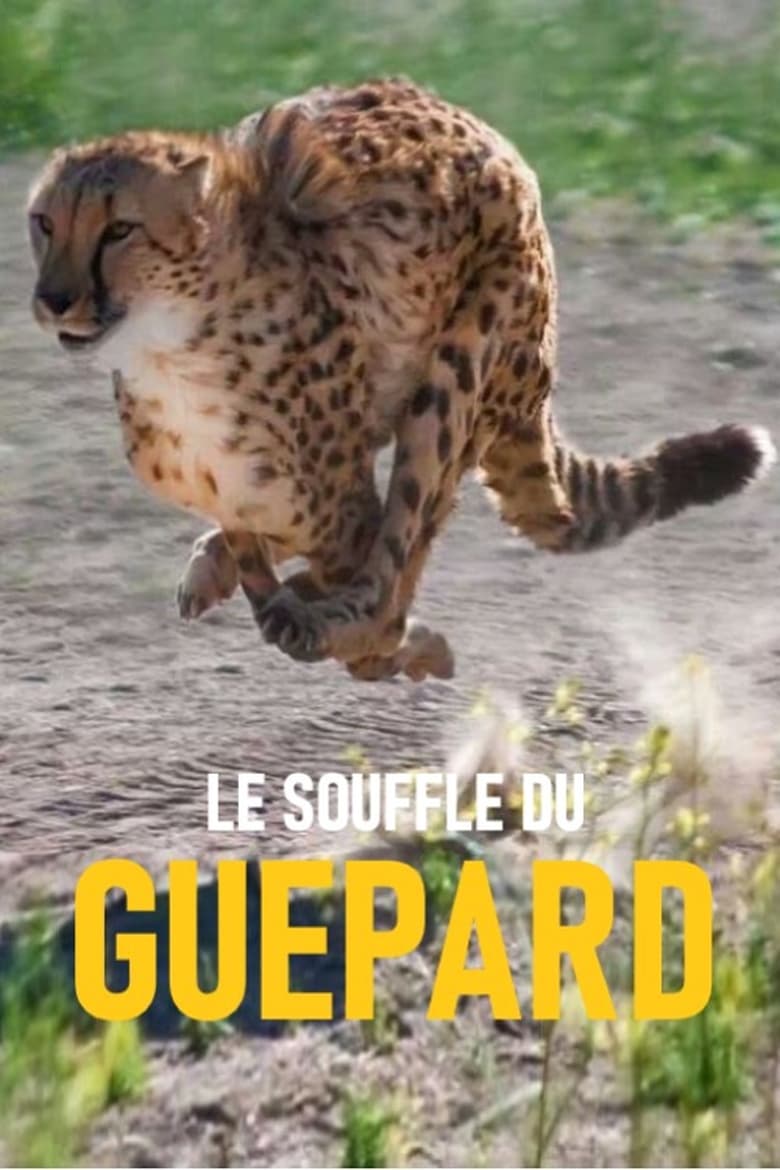 Poster of Le souffle du guépard