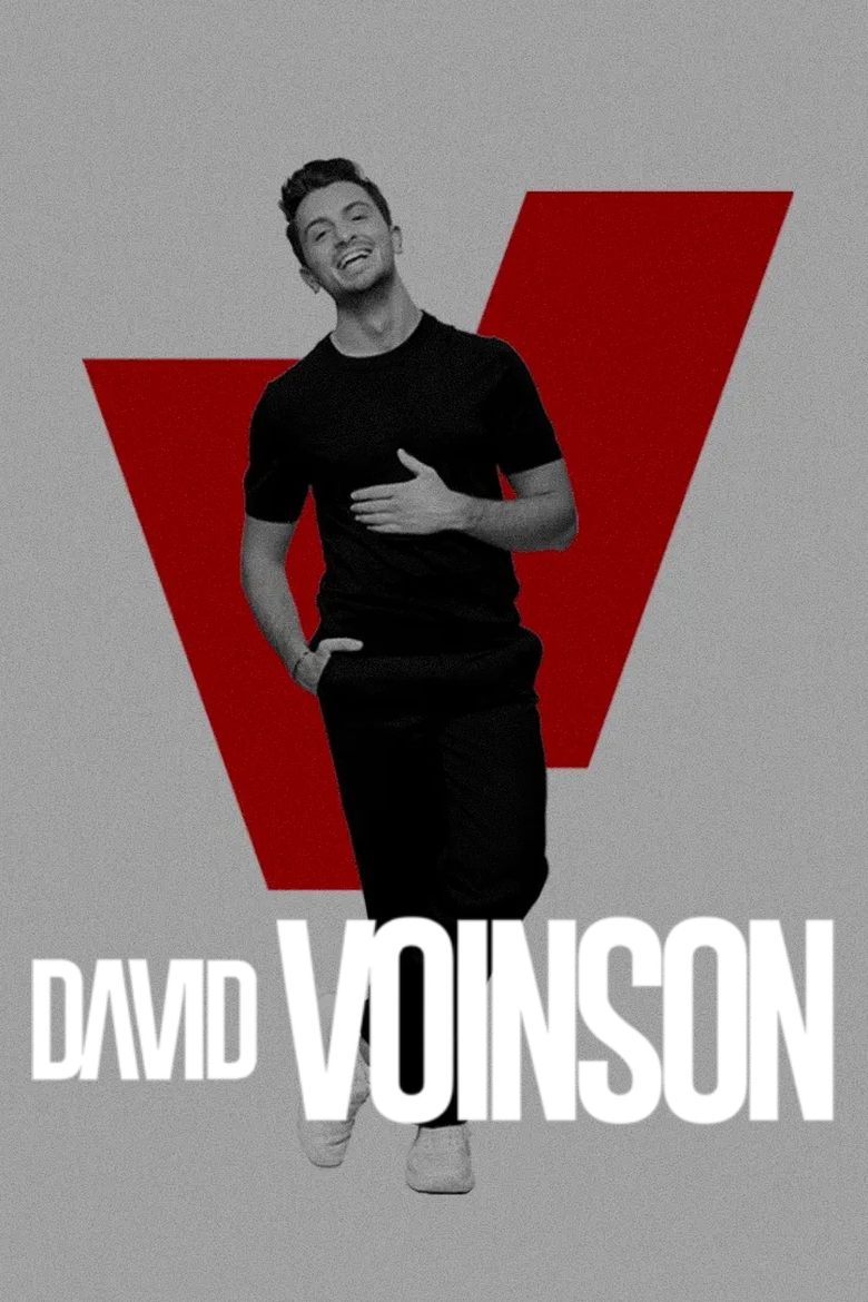 Poster of David Voinson