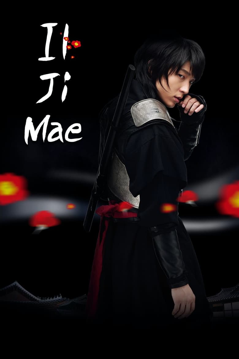 Poster of Iljimae