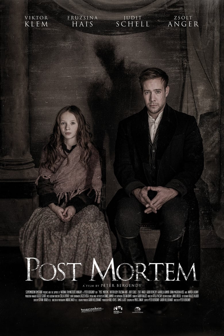 Poster of Post Mortem