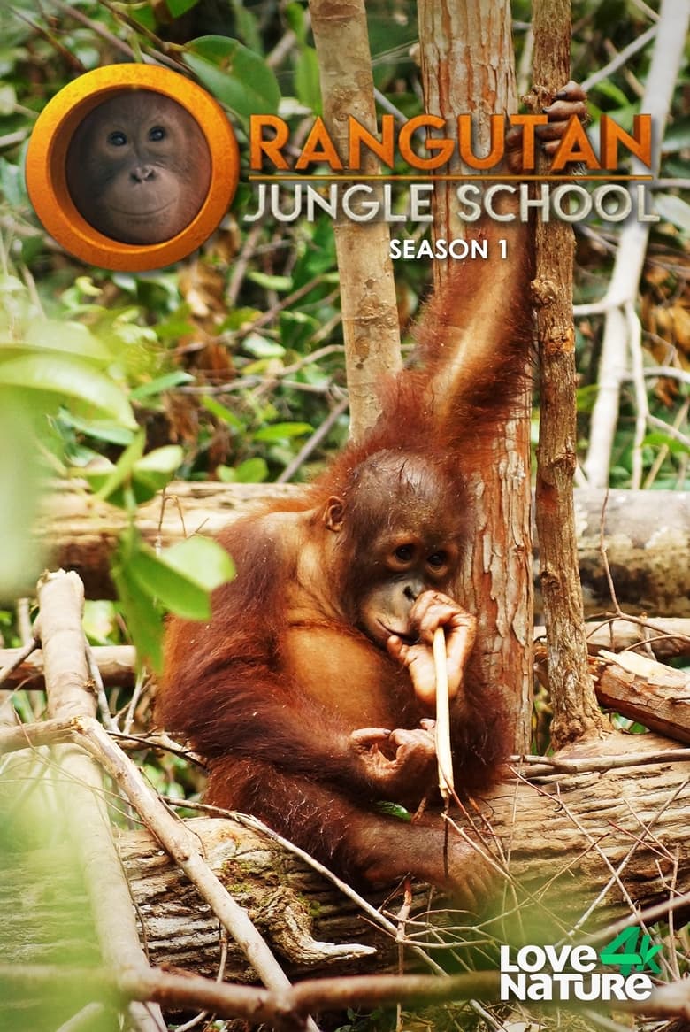 Poster of Episodes in Orangutan Jungle School - Season 1 - Season 1