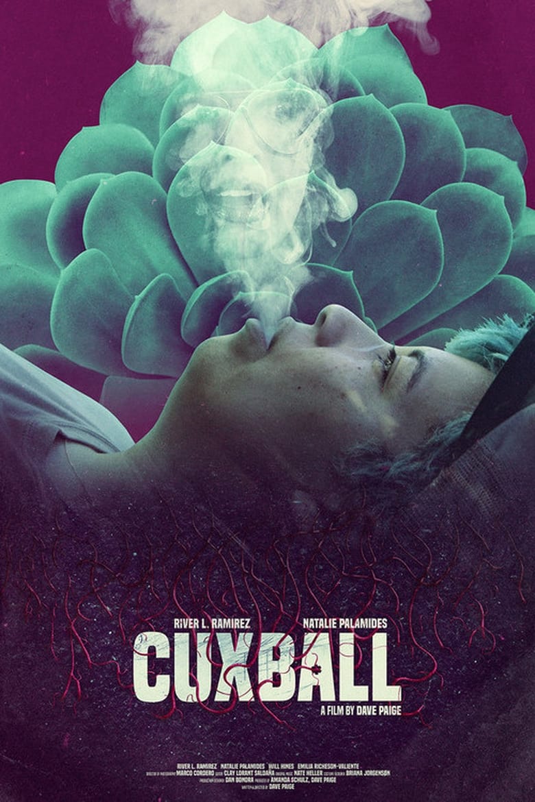 Poster of Cuxball