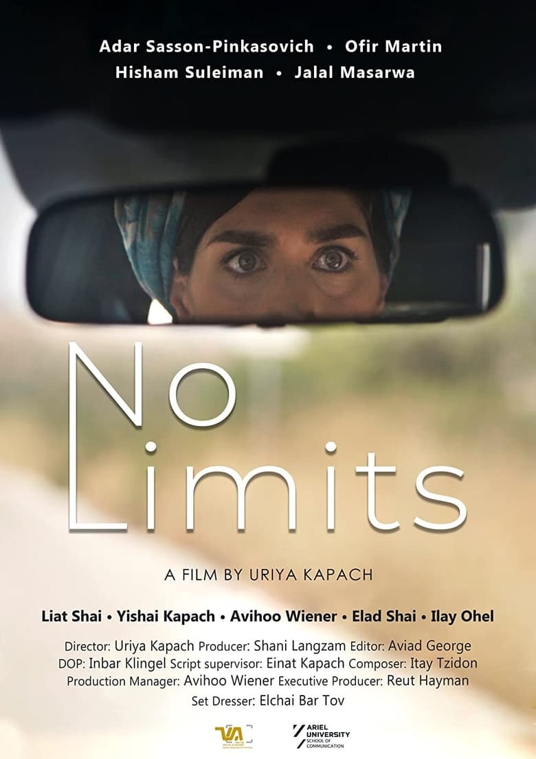 Poster of No Limits