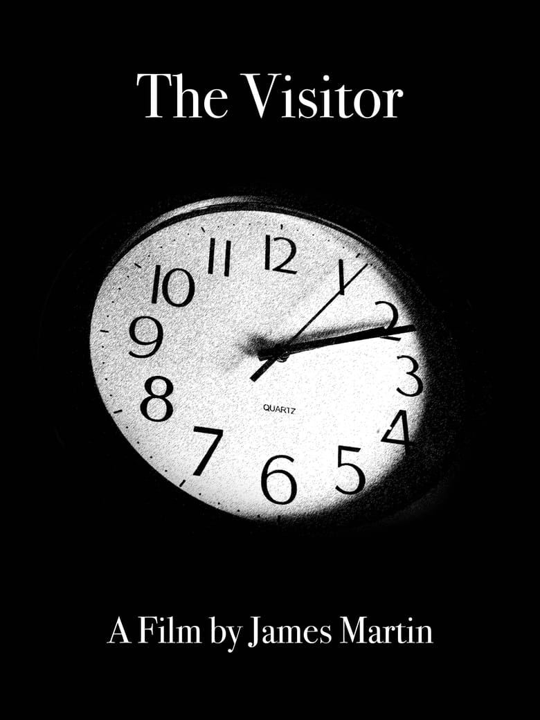 Poster of The Visitor