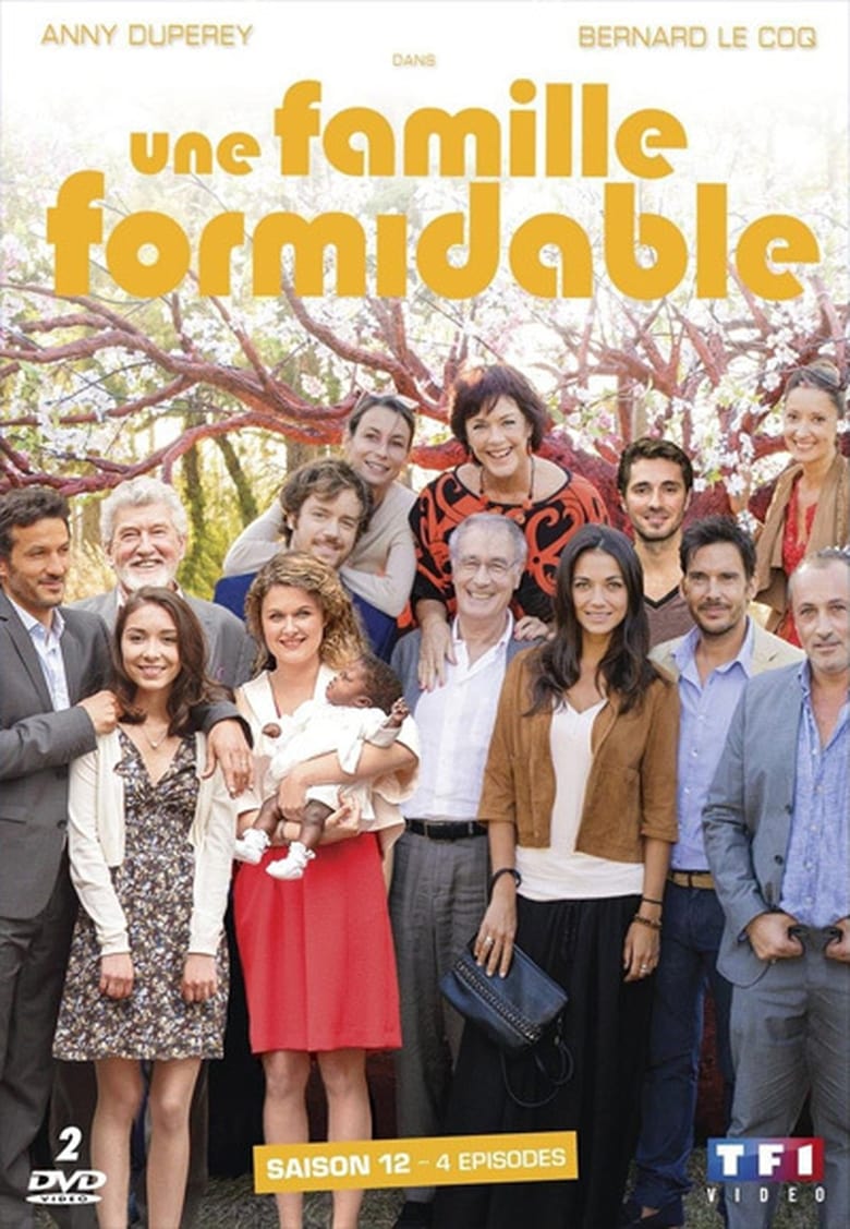 Poster of Episodes in Une Famille Formidable - Season 12 - Season 12