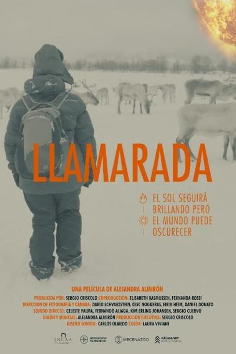 Poster of Llamarada