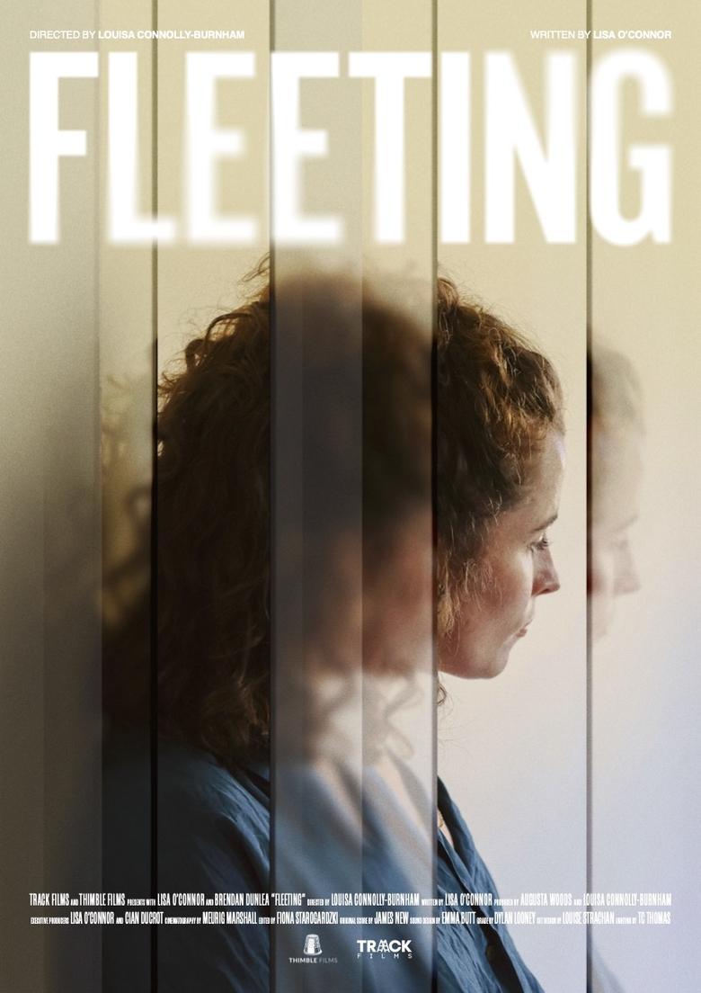 Poster of Fleeting