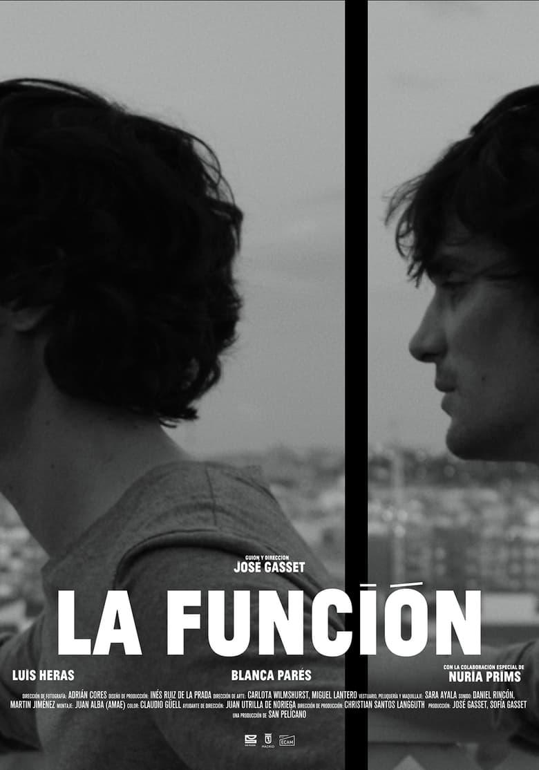 Poster of La Función