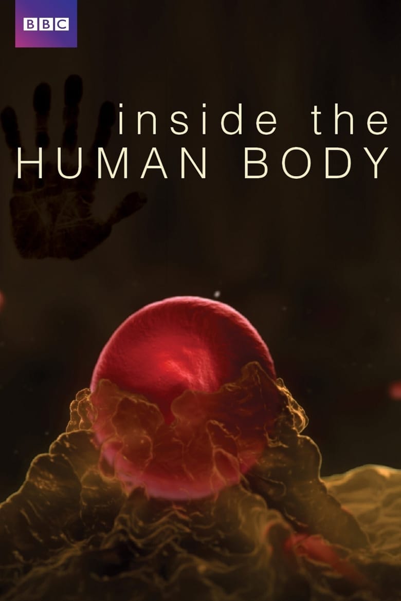 Poster of Episodes in Inside The Human Body - Season 1 - Season 1