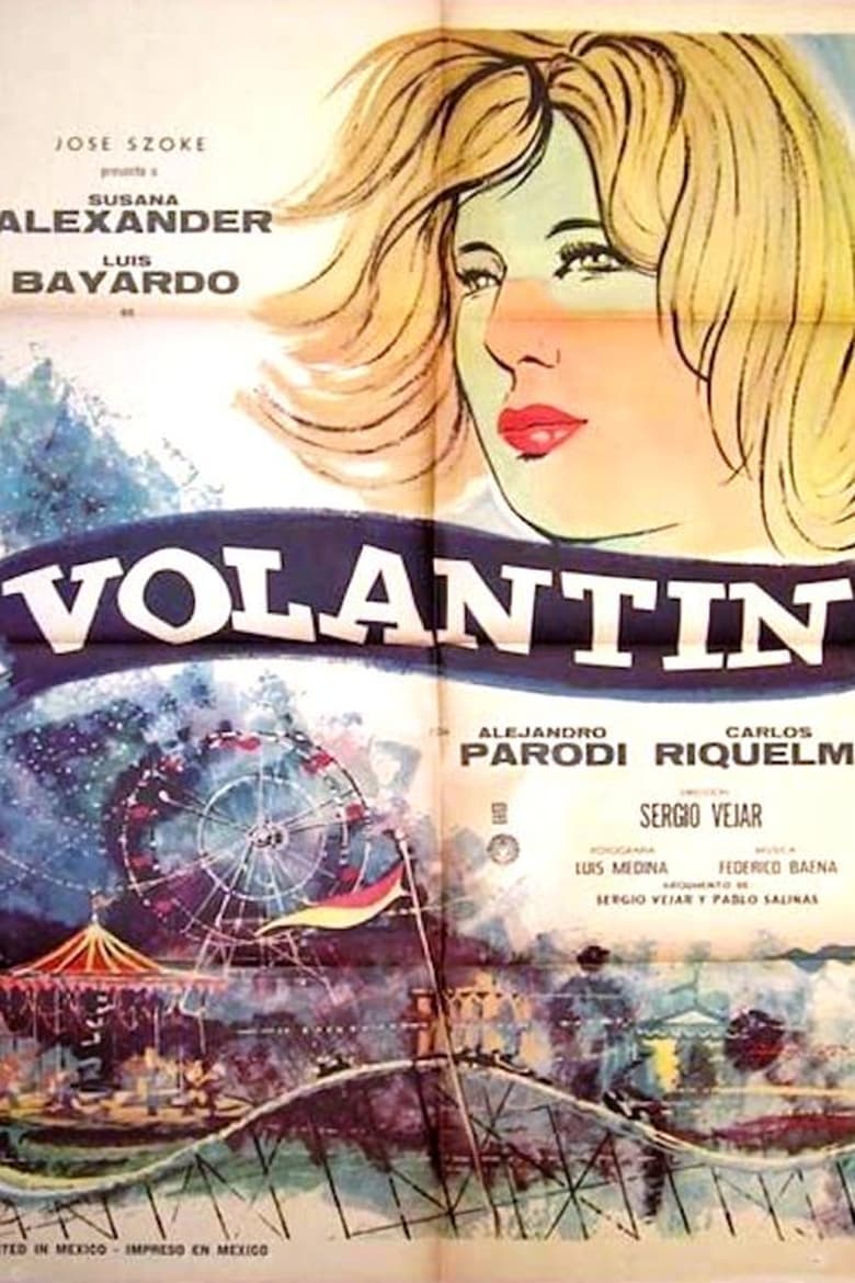 Poster of Volantín